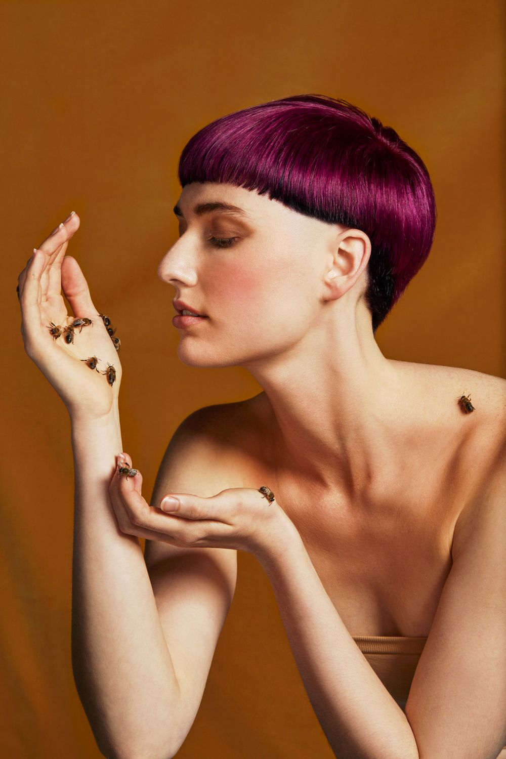 AVEDA