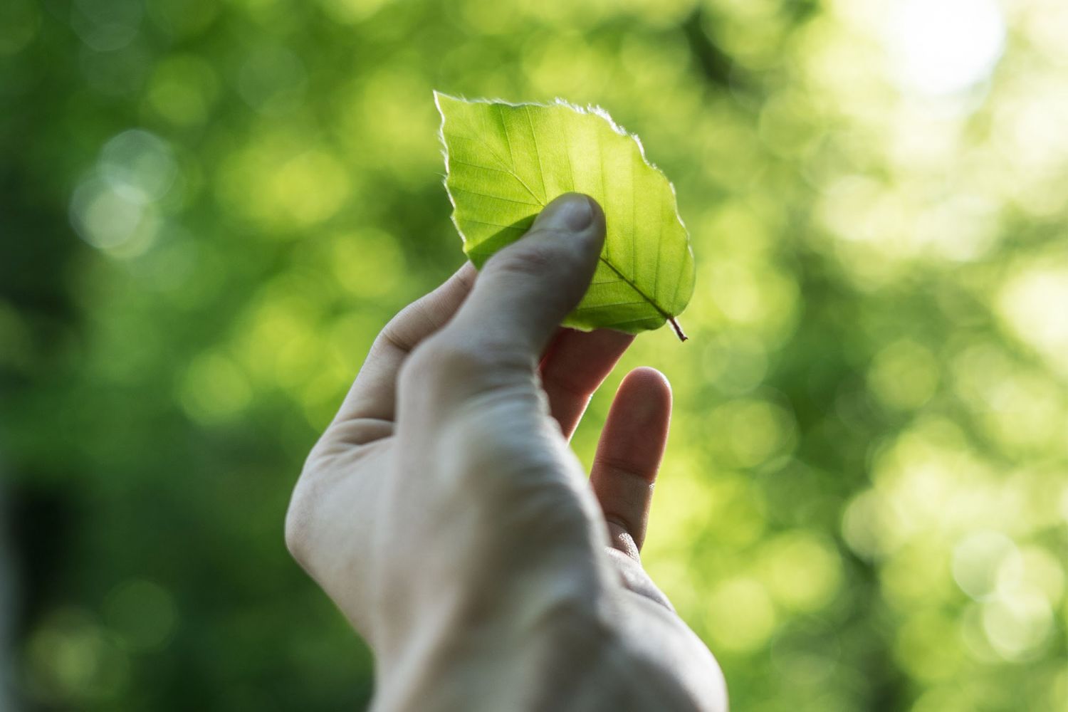 Photo: Unsplash