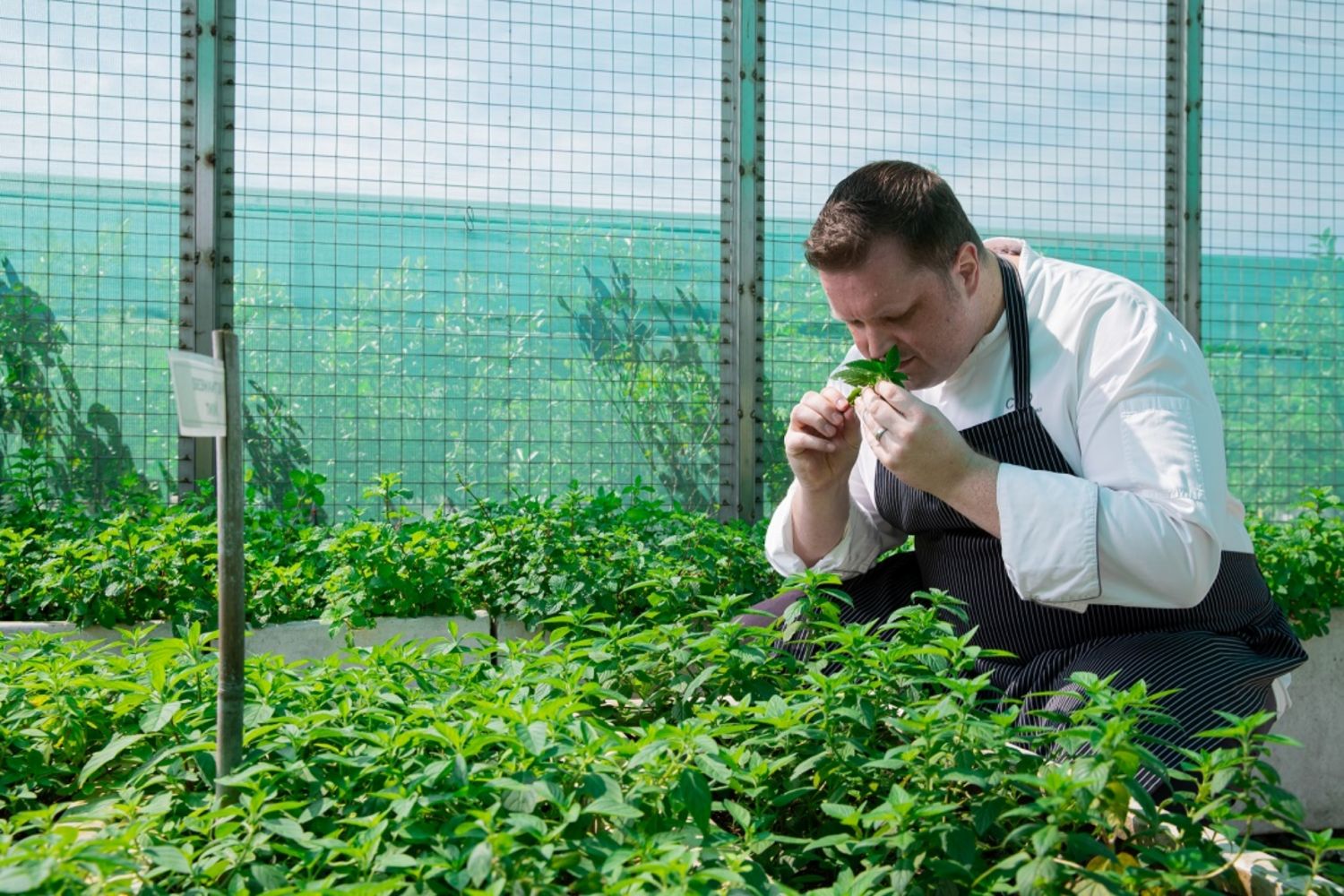 The resort serves 100% Filipino coffee harvested by local farmers in Benguet, Bukidnon, Matutum, and Batangas. In photo is executive chef Markus Tauwald