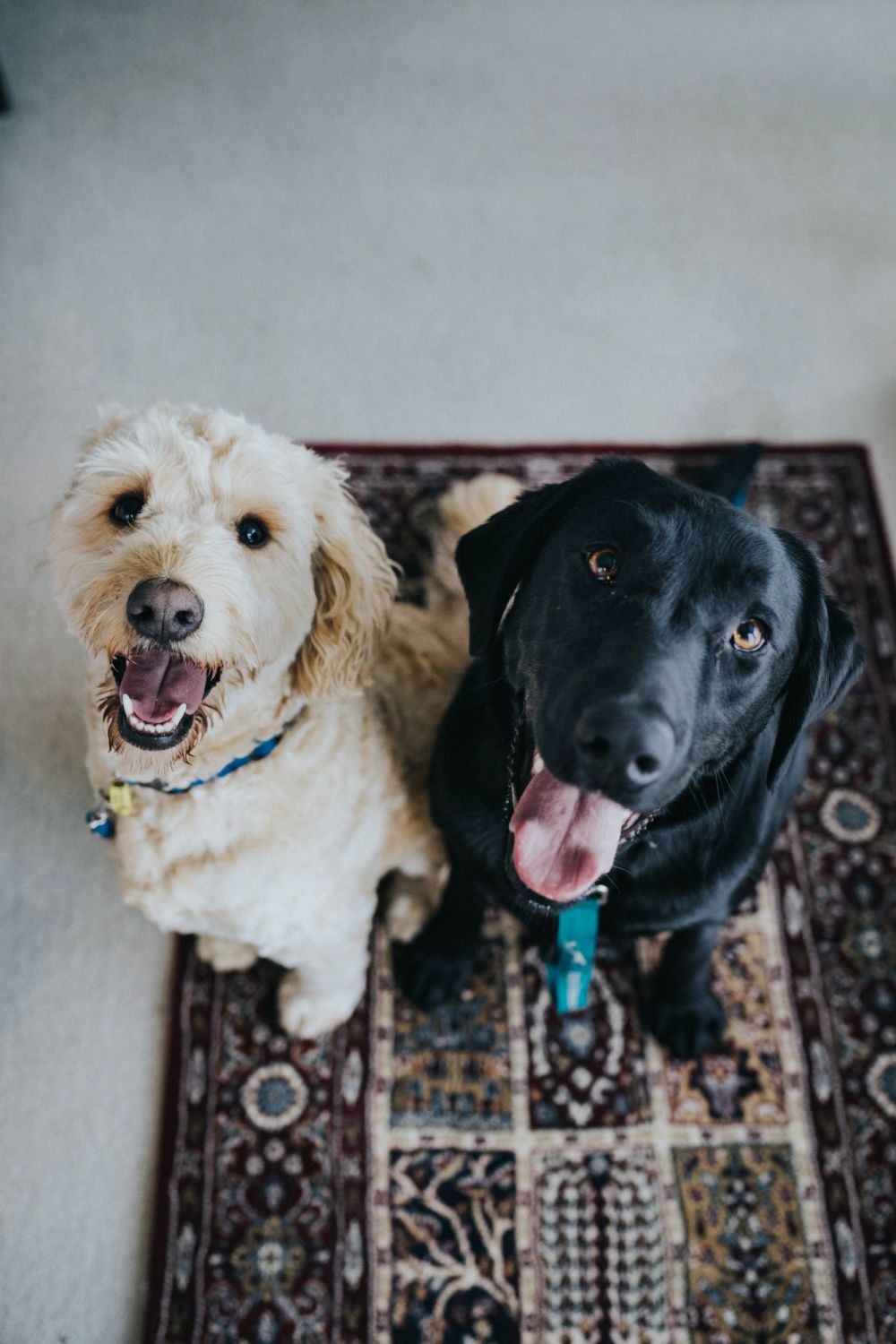 Photo: Jay Wennington / Unsplash