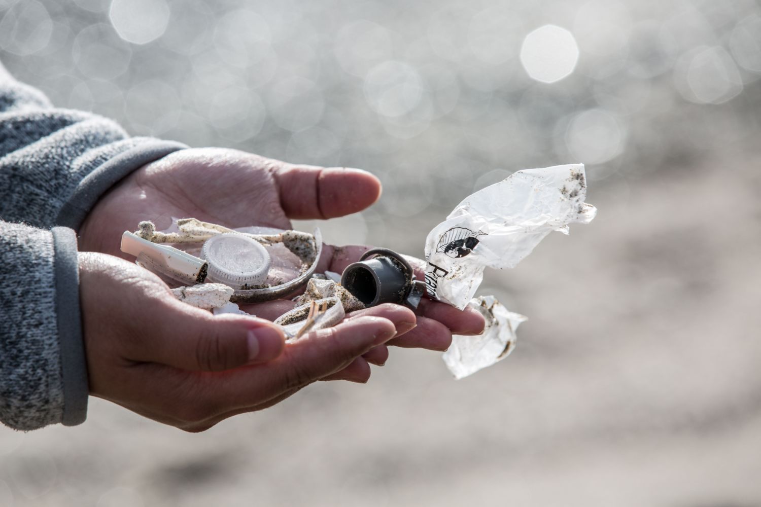 The many forms of plastic waste gathered by Miranda Wang at a beach in California.