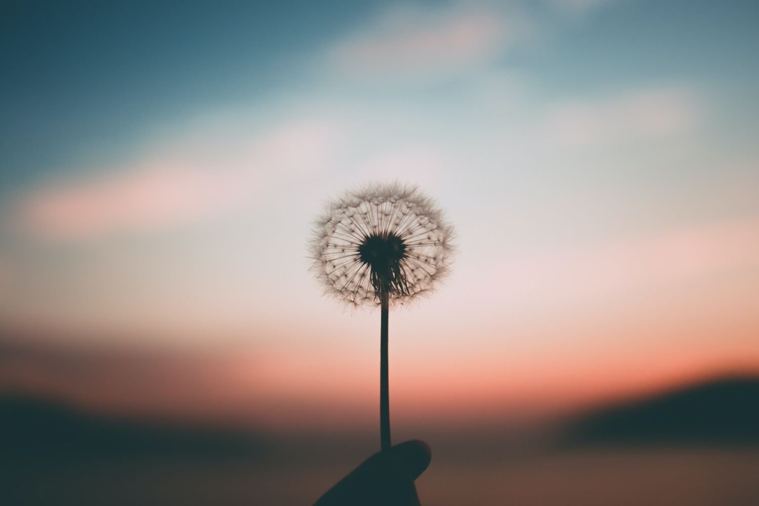 unsplash
