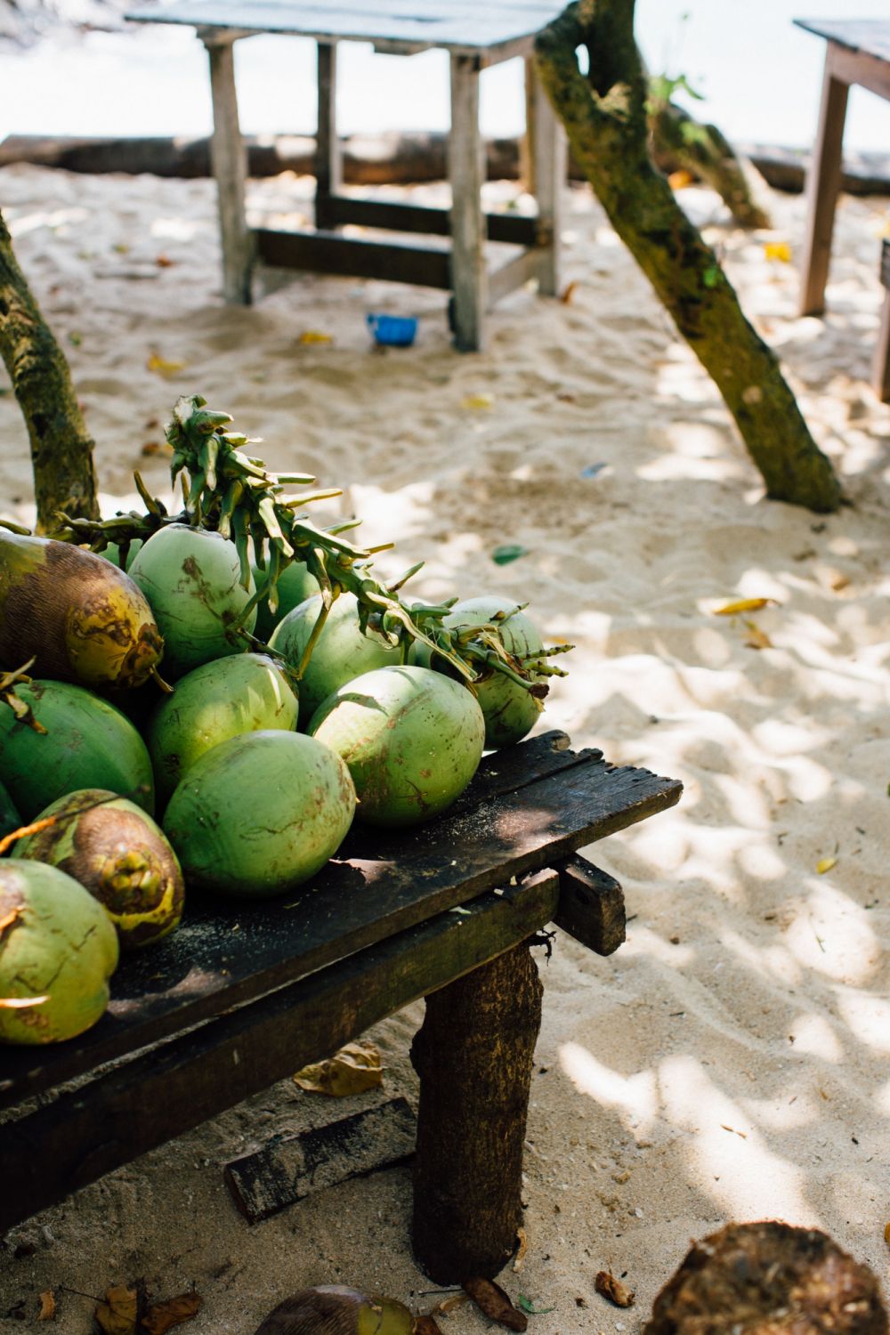 Tuba What to Know About Philippine Coconut Wine That's Famous Around