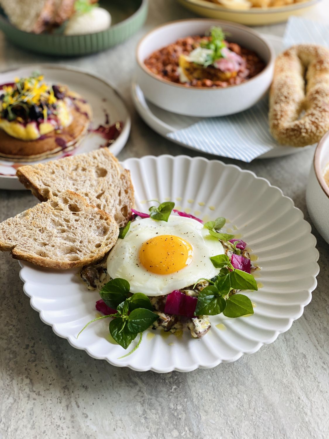 Tucker's mushroom and barley fricassee with compressed red cabbage, onion mousse, fried egg, crispy shallot and sourdough toast