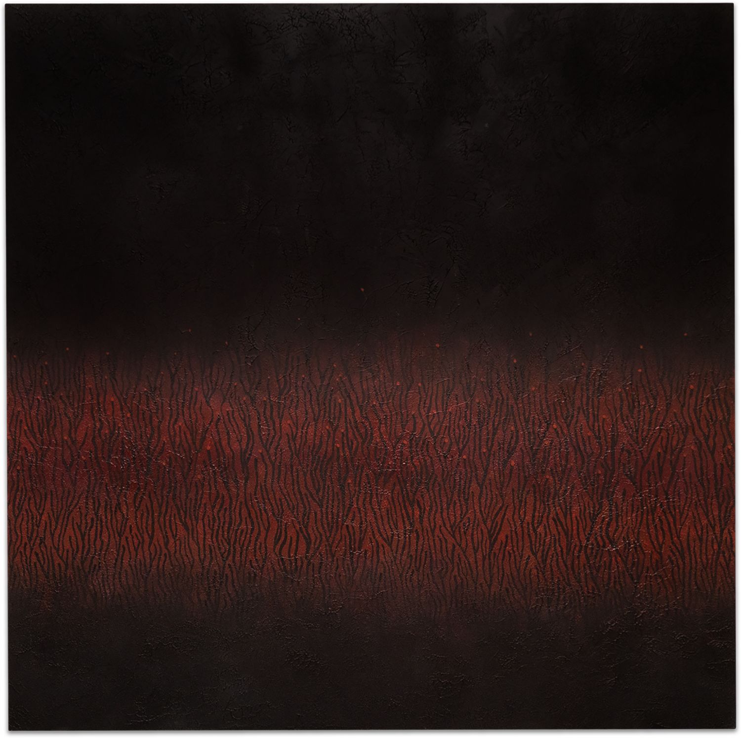 Abyssal Plain