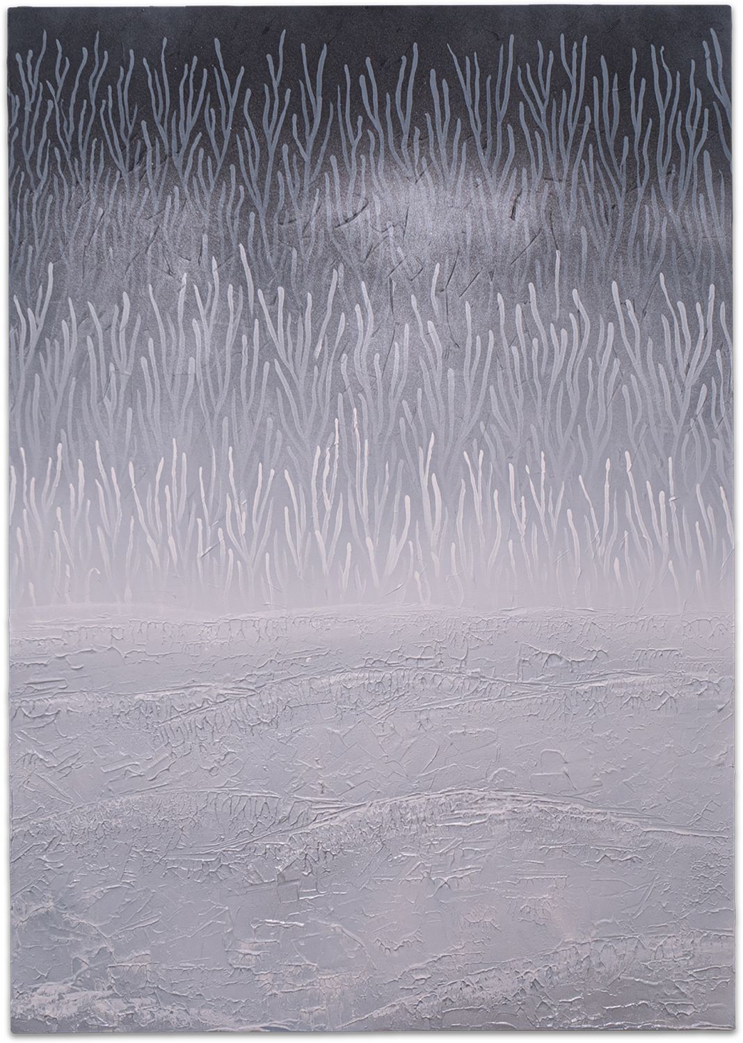 Tundra