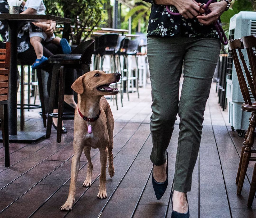 Photo: @thebarnwinebar/Instagram