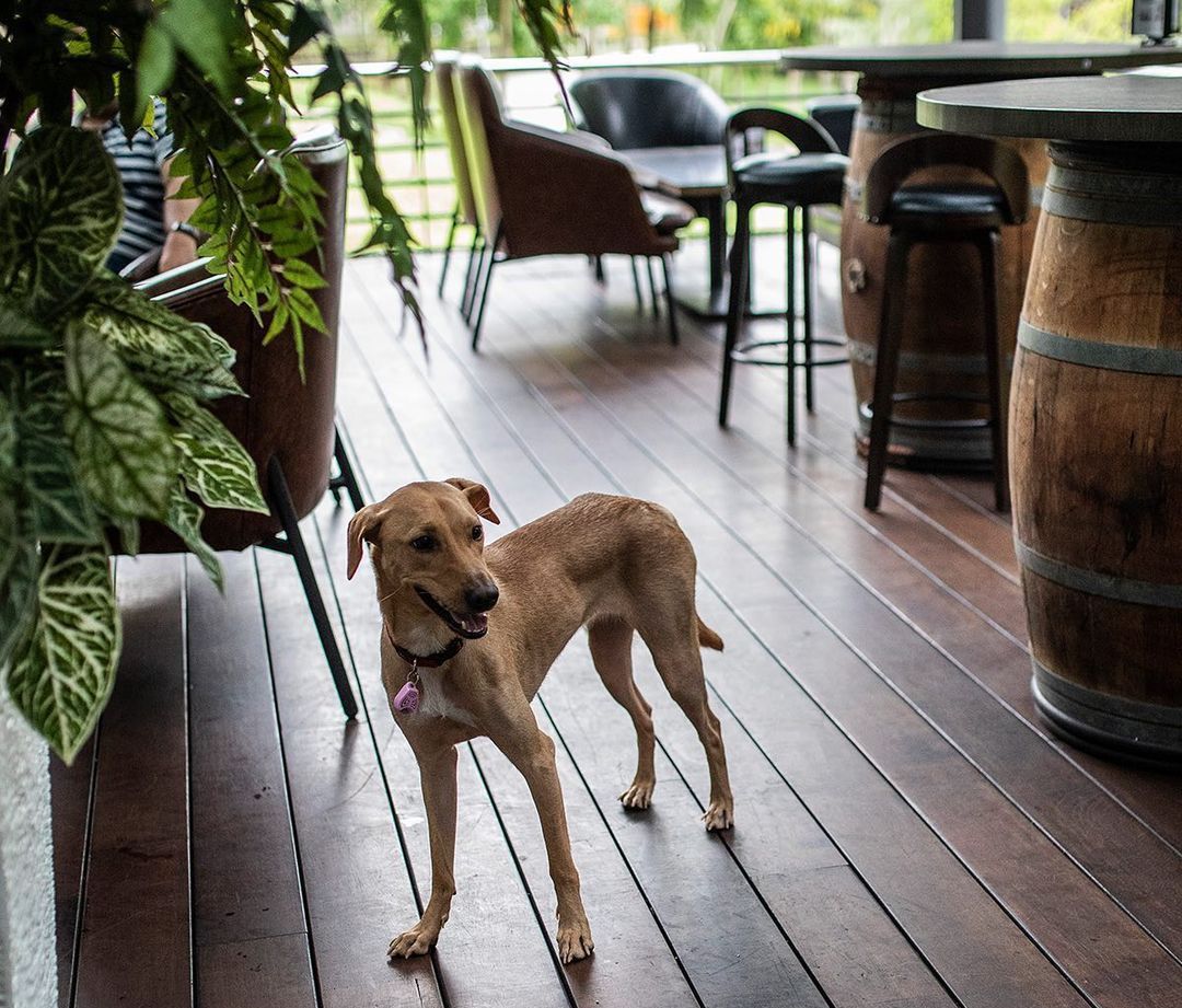 Photo: @thebarnwinebar/Instagram