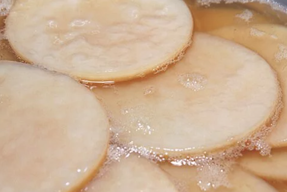 紅茶菌Scoby