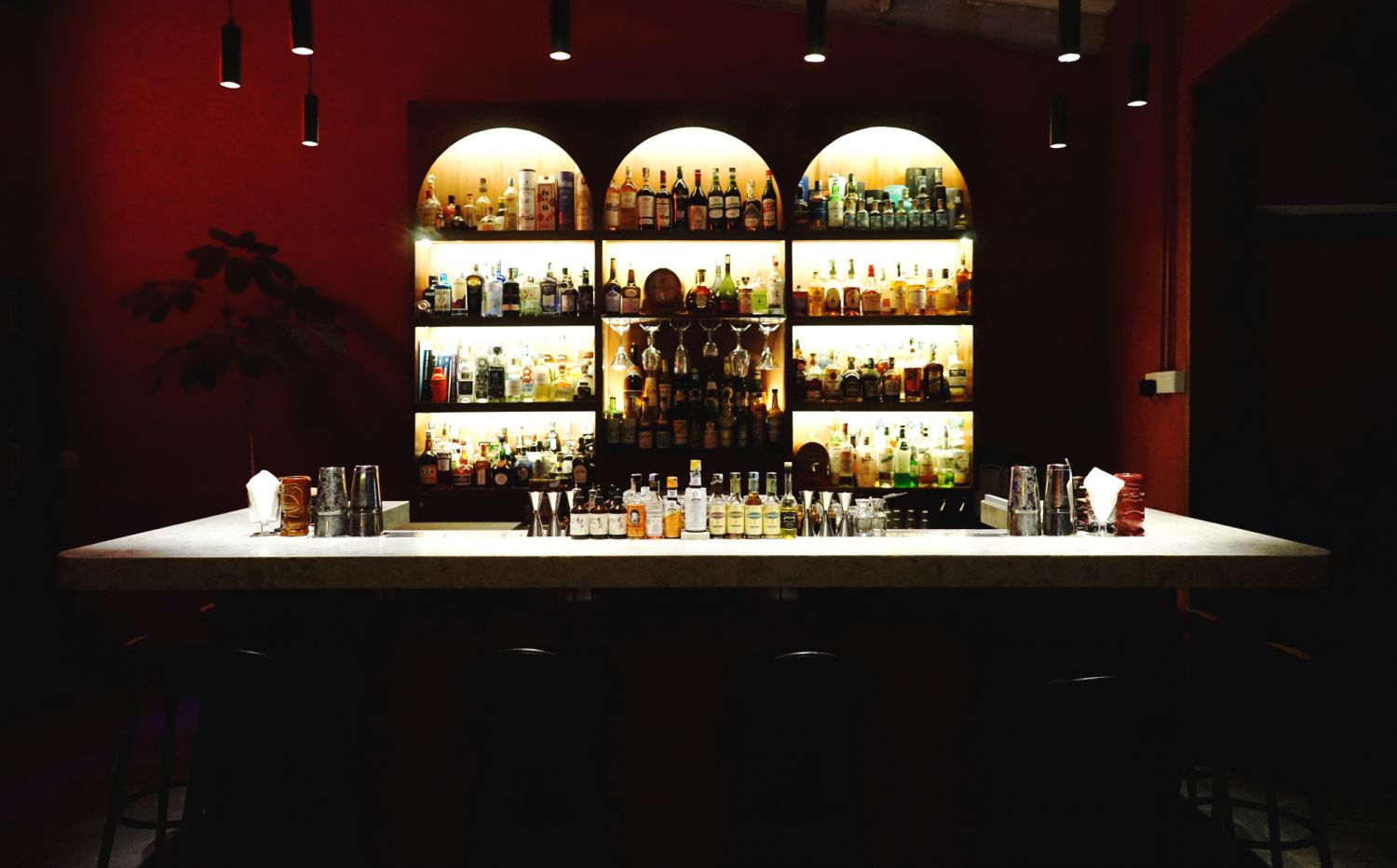 The bar area at Backdoor Bodega (Photo: Backdoor Bodega)
