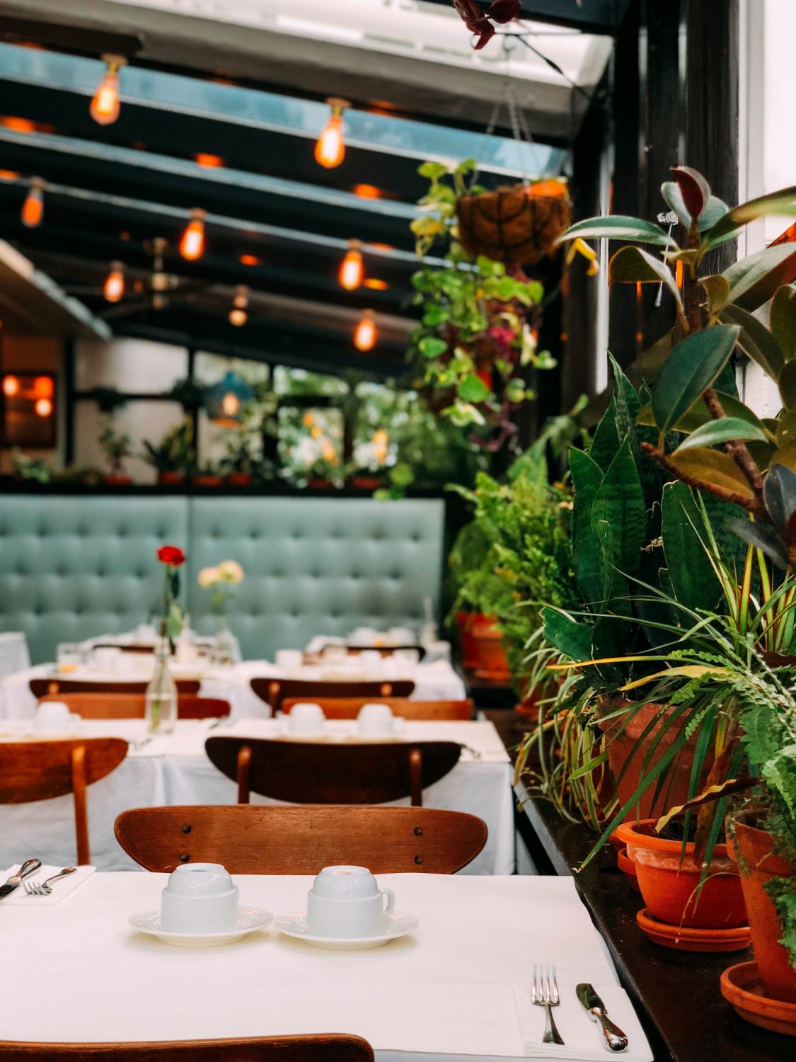 Photo: Chris Liverani / Unsplash