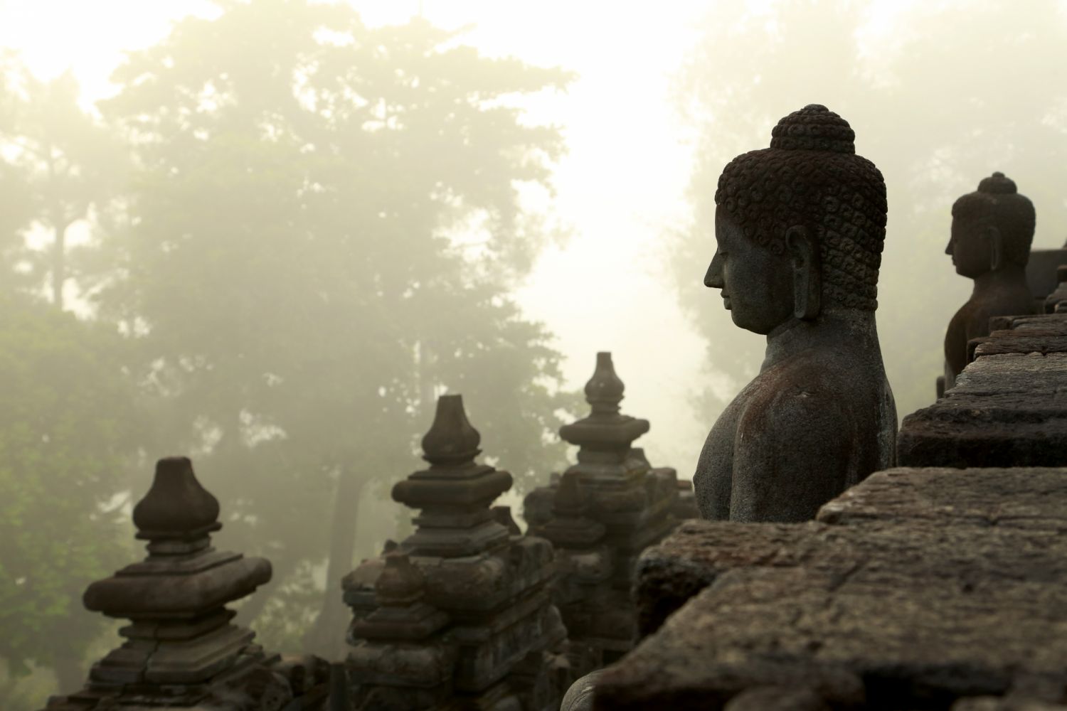 Statues of the Buddha at the outer walls of Borobudur amid the haze that blankets the horizon at daybreak