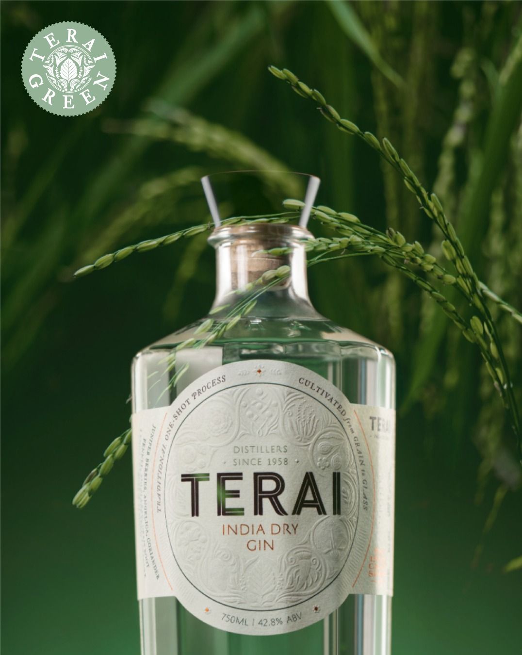 5 Best Gins in Singapore You Should Know About Tatler Asia