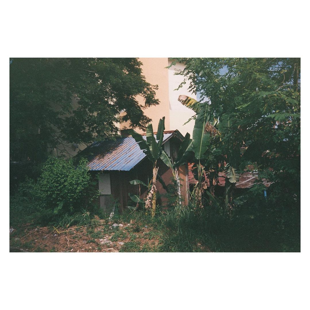 A test shot using Expired Fujifilm C200 by Wai, processed and developed by Lomocrewz (Photo: @lomocrewz/Instagram)