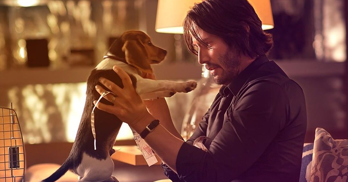 IG@johnwickmovie