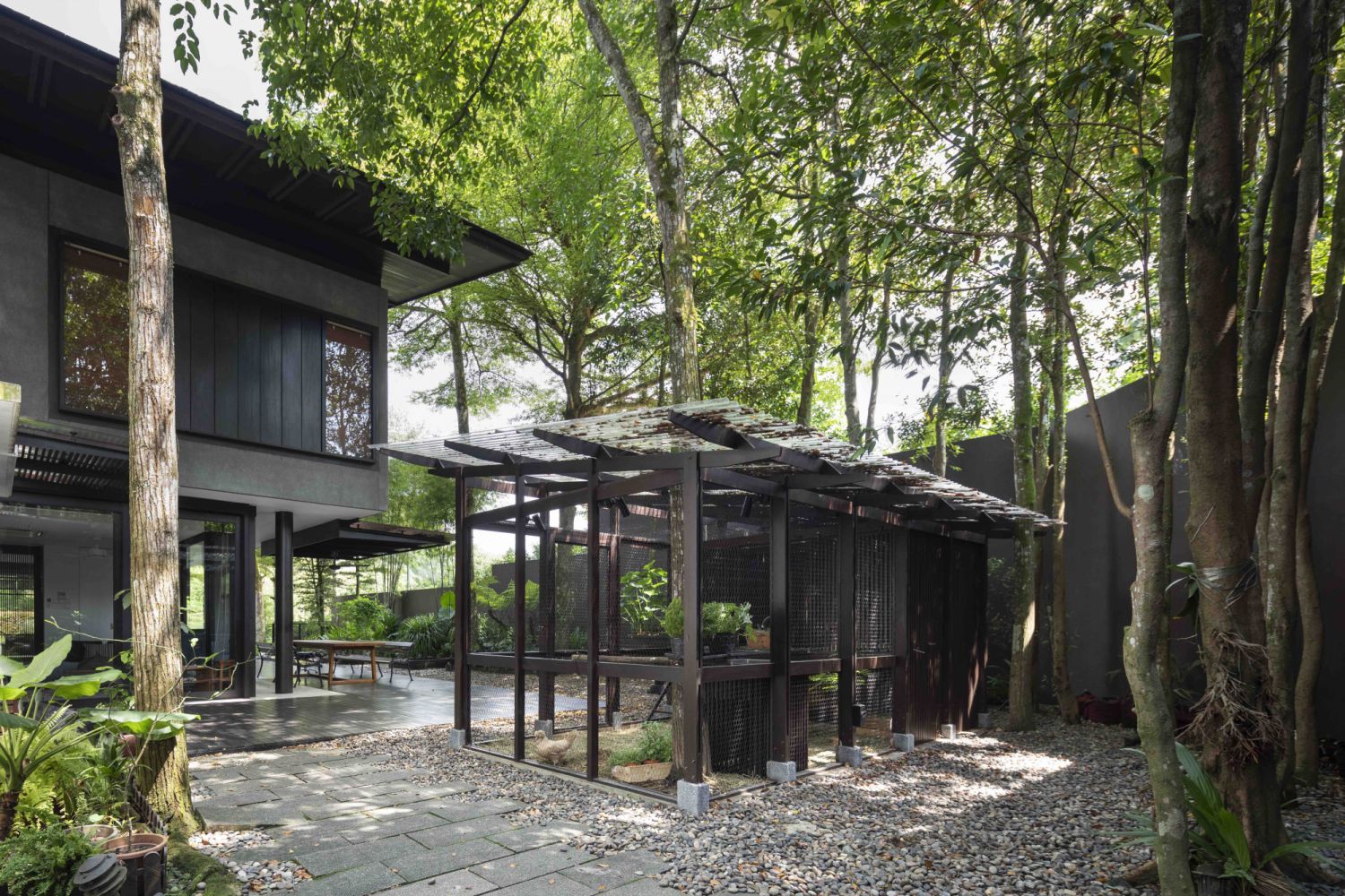 Daniel Levy, Wife, and the Quiet Architecture Behind a Life O chickens in Time