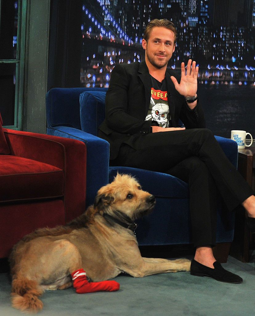 NEW YORK, NY - JULY 20: Ryan Gosling along with his dog George visits "Late Night With Jimmy Fallon" at Rockefeller Center on July 20, 2011 in New York City. (Photo by Theo Wargo/Getty Images)
