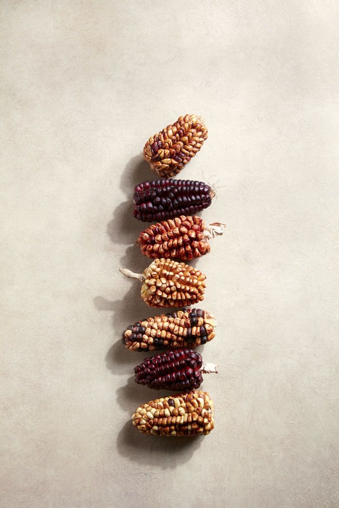 Peruvian corn