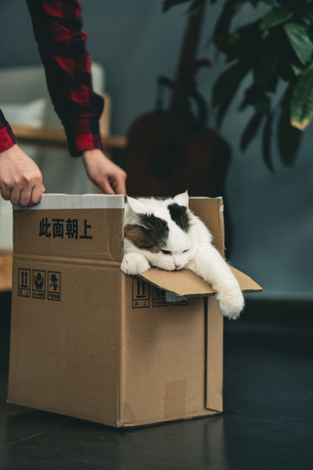 unsplash