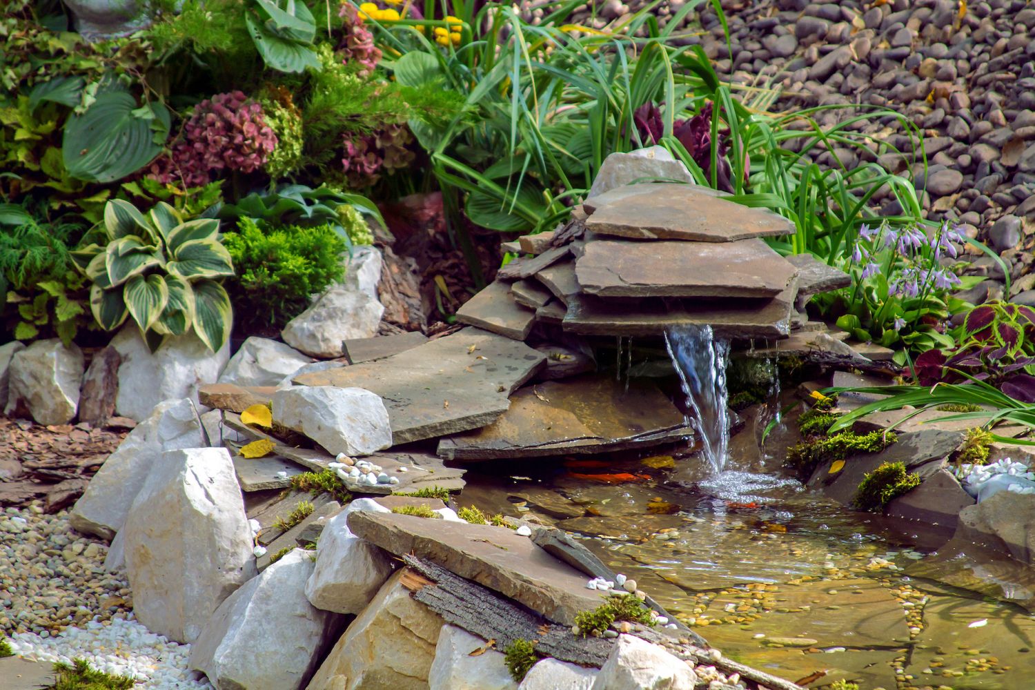 beautiful flowering plants, around the fountain, in a small courtyard