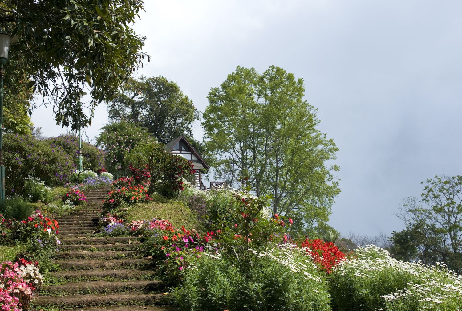 The Bhubing Palace is located on Doi Buak Ha, Muang District, Chiang Mai Province. It is the royal winter residence in Chiang Mai where the Royal family stays during seasonal visits to the people in northern part of the country. The palace is also the royal guesthouse for prominent State visitors from abroad.