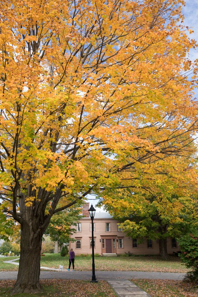 MANCHESTER, VERMONT: Fall colours of Maple tree - Acer saccharum and woman walking dog by traditional New England house in Vermont, New England, USA. (Photo by Tim Graham/Getty Images)