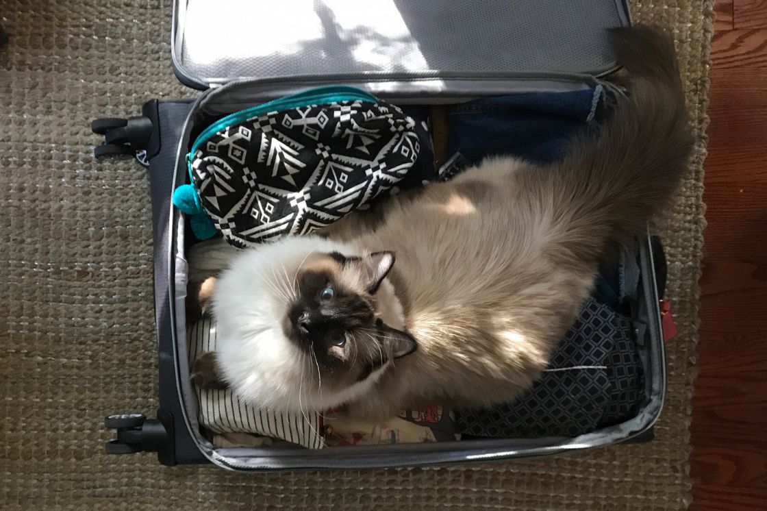 Don't pack anything you won't need (Photo: Getty Images)