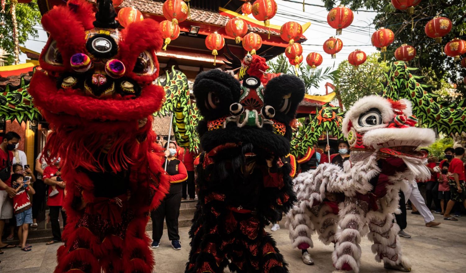KUTA, BALI, INDONESIA - 31 JANUARY: Balinese Chinese men perform lion dance or Barong Sai during a Chinese New Year celebration at Vihara Dharmayana on January 31, 2022 in Kuta, Bali, Indonesia. Countries around Southeast Asia are set to welcome a lively Chinese New Year, despite implementing strict health protocols as Chinese populations curtail celebrations due to the COVID-19 pandemic. The first day of the Lunar New Year, on February 1, will usher in the Year of the Tiger. (Photo by Agung Parameswara/Ge
