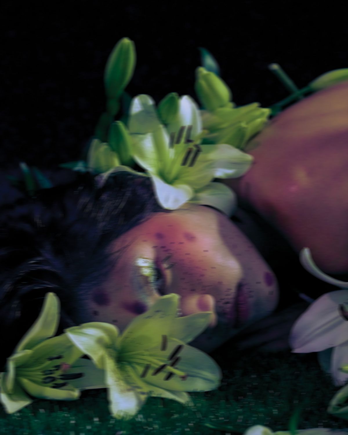 Diane Sinclair I want to nurture the earth