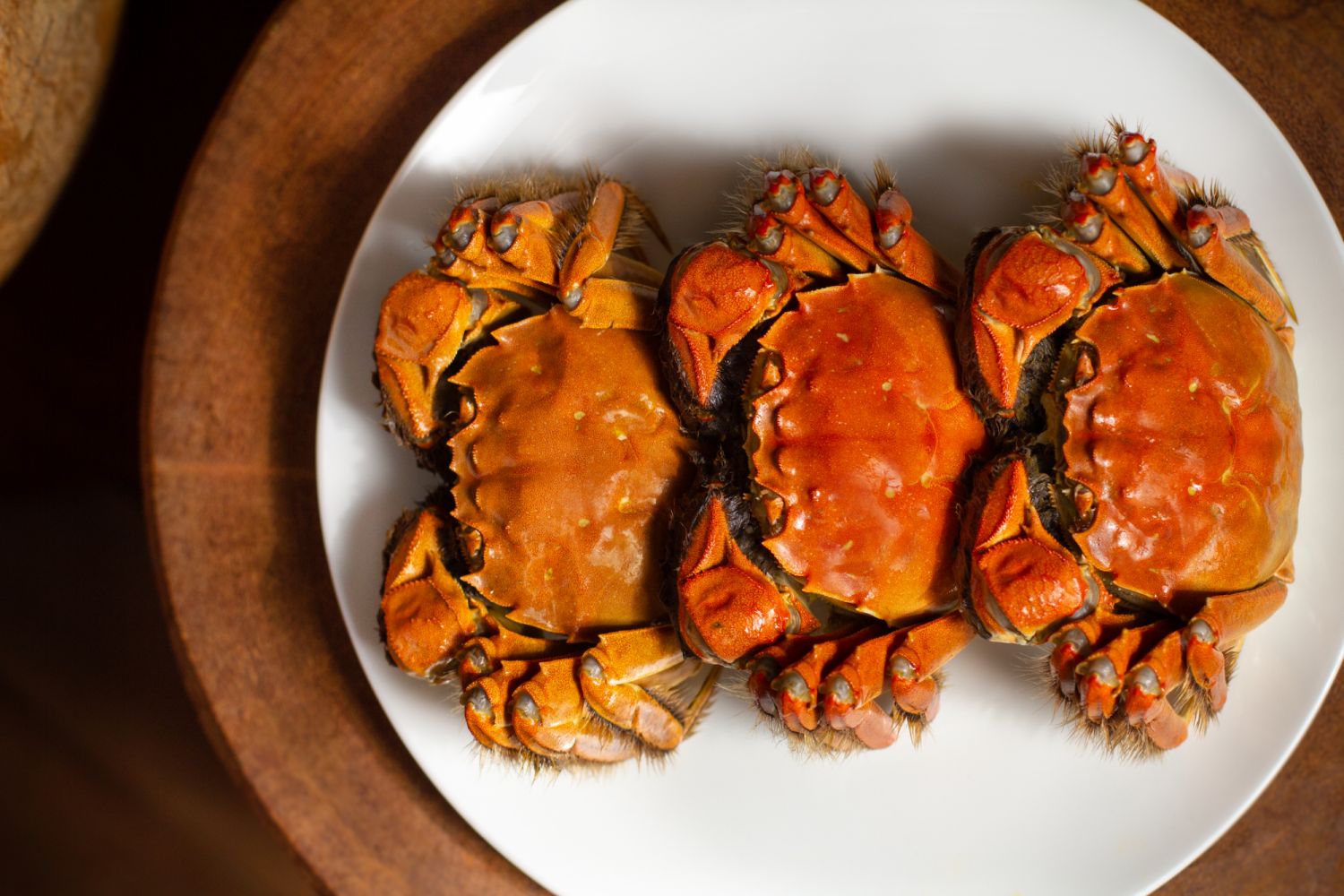 Duddell's hairy crab