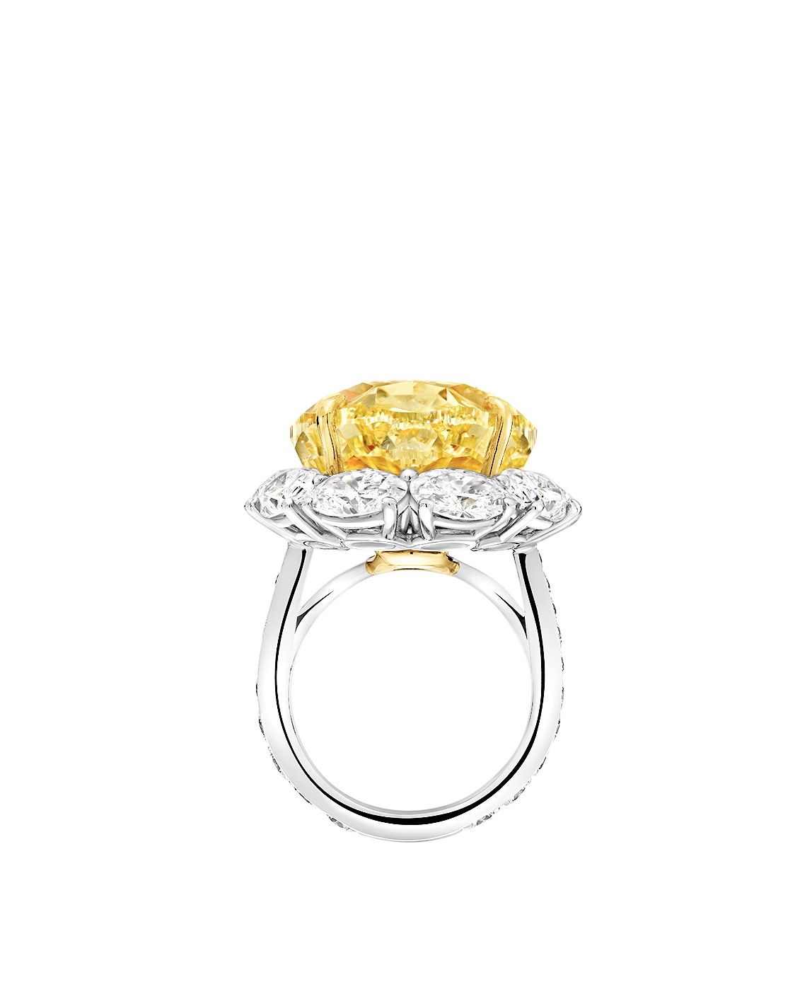 Tatler Ball 2022 The Best Jewellery for Your Legendary Ensemble Tatler Asia