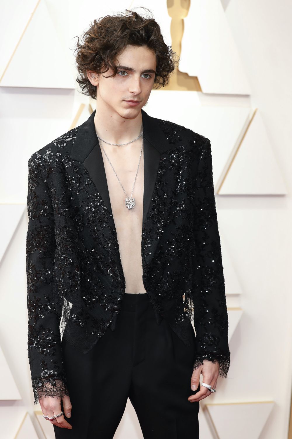 LOS ANGELES, USA - MARCH 27, 2022: Timothee Chalamet arrives on the red carpet outside the Dolby Theater for the 94th Academy Awards in Los Angeles, USA.