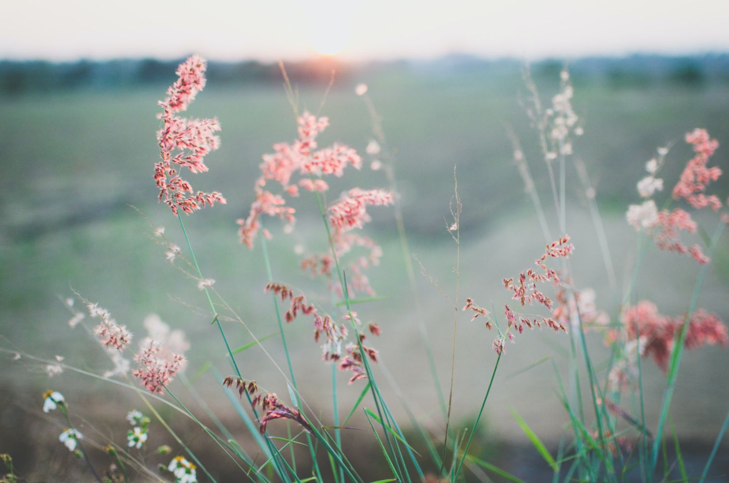 unsplash