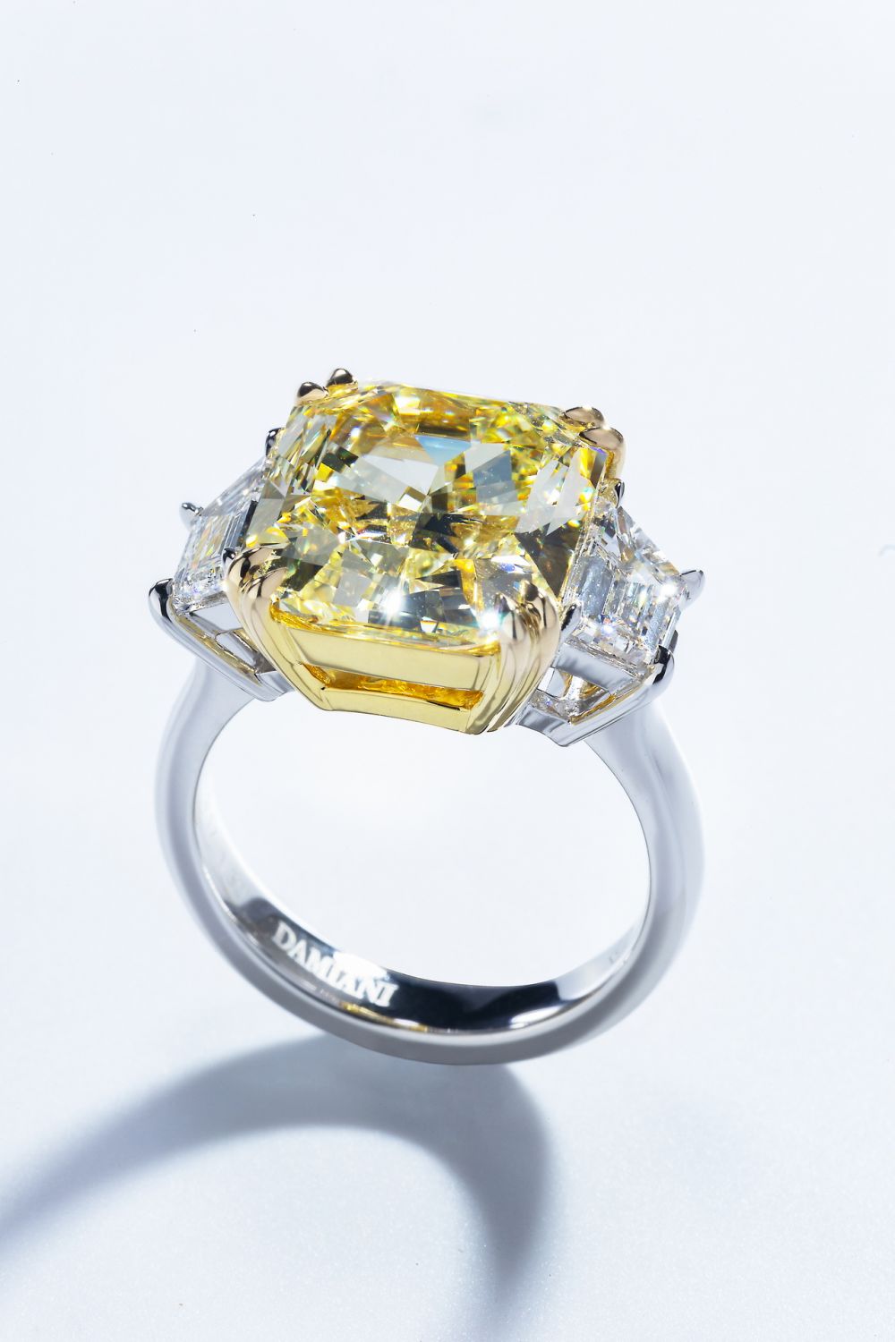 DAMIANI Special Classic鉑金與18K黃金戒指
