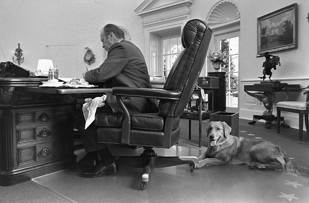 President Gerald Ford and his pet dog Liberty in the Oval Office. (Photo by © CORBIS/Corbis via Getty Images)