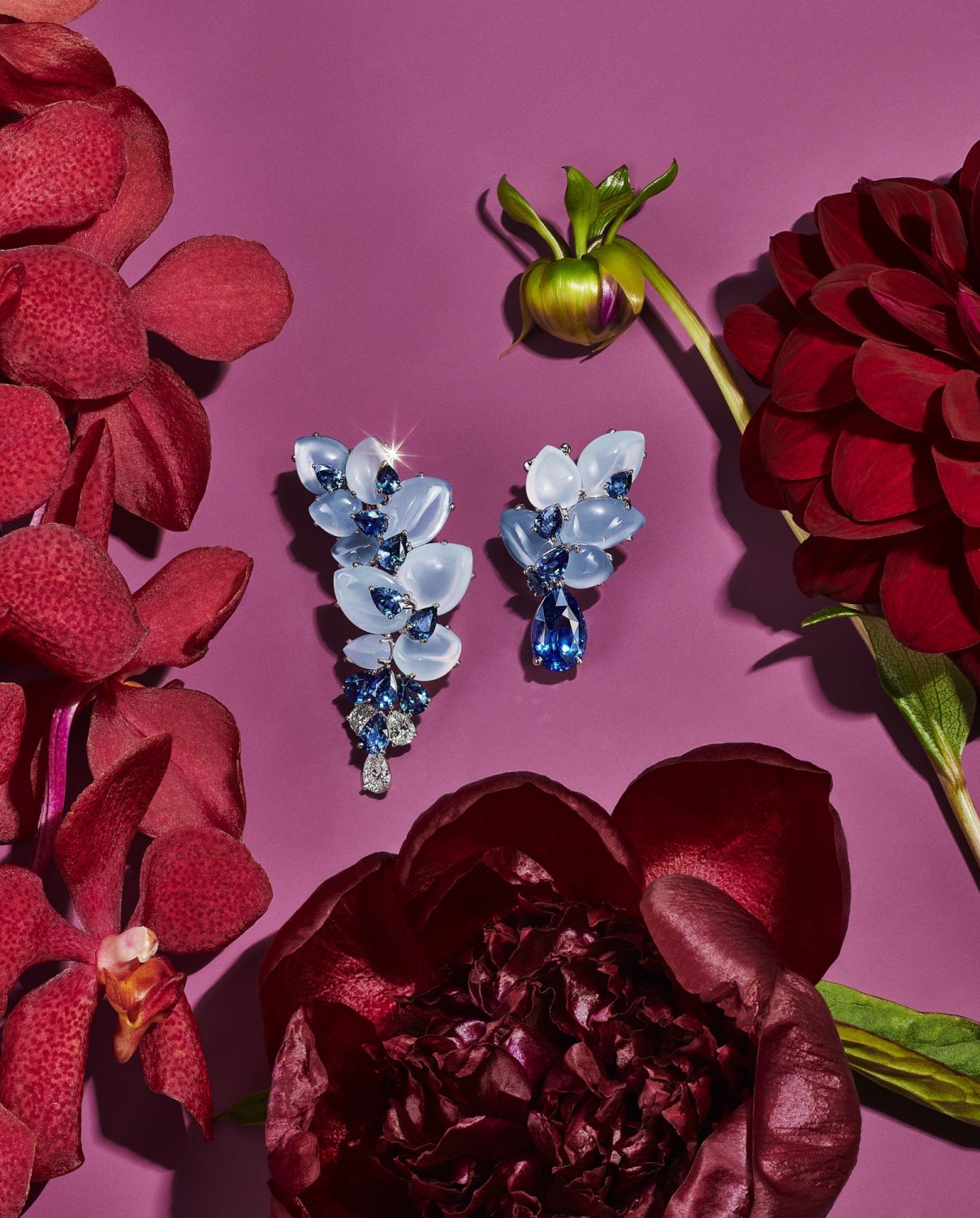 Tiffany Blue Book BOTANICA高級珠寶系列18k 白金鑲嵌單顆重逾 3 克拉的未經優化藍寶石、雕刻玉髓、藍寶石和鑽石耳環