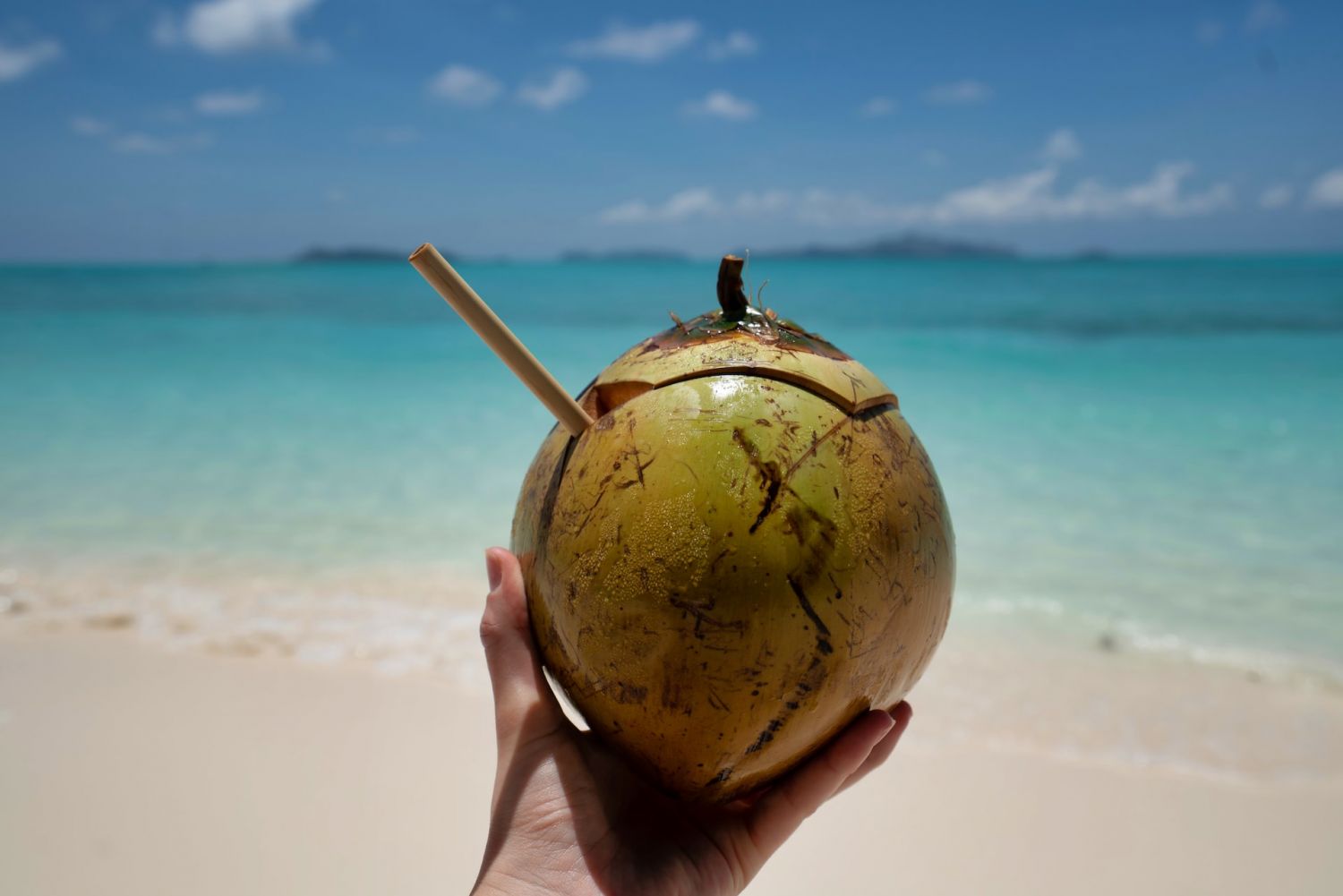 Photo by Datingscout (Unsplash)