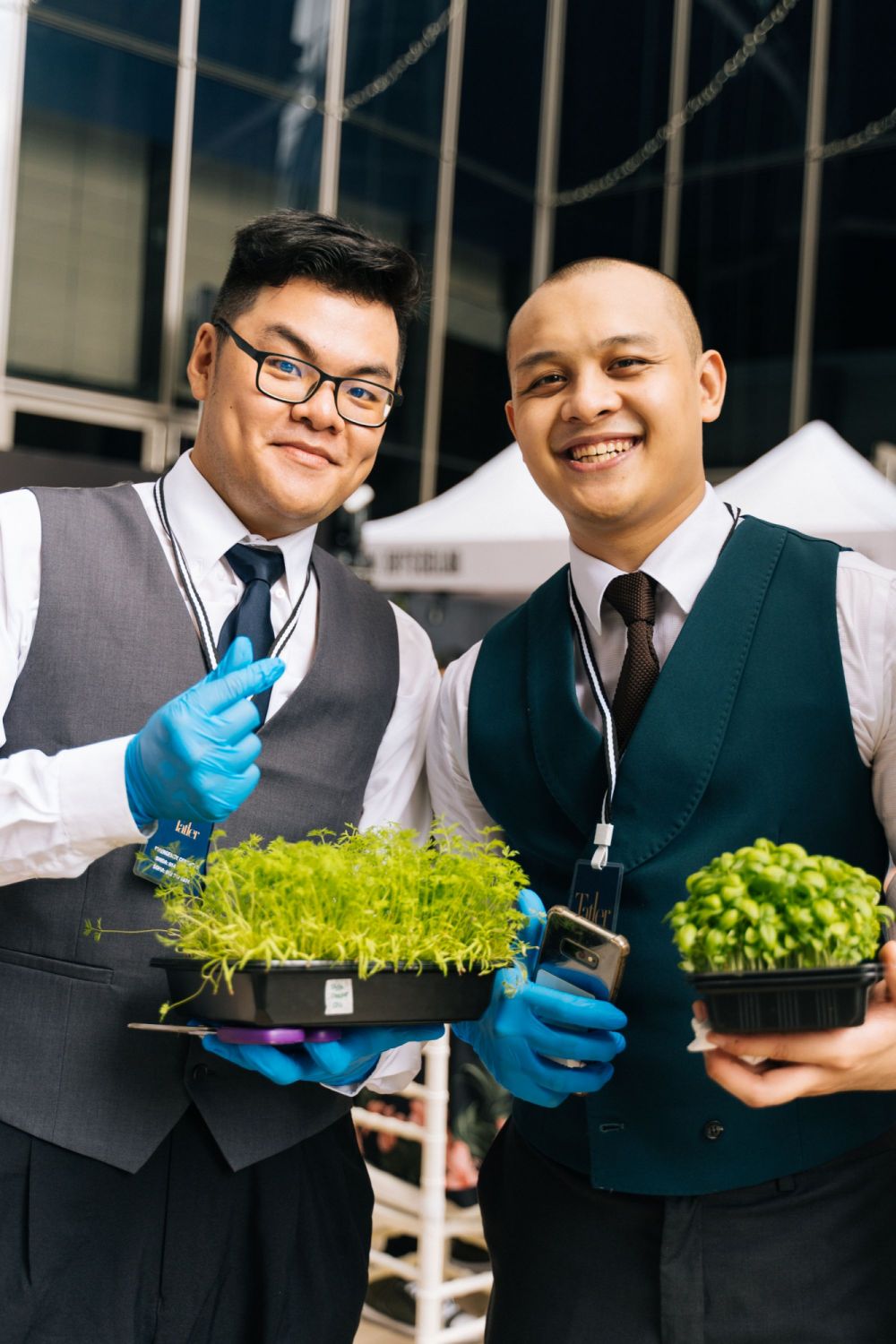 The team behind Babylon Vertical Farms and its microgreens