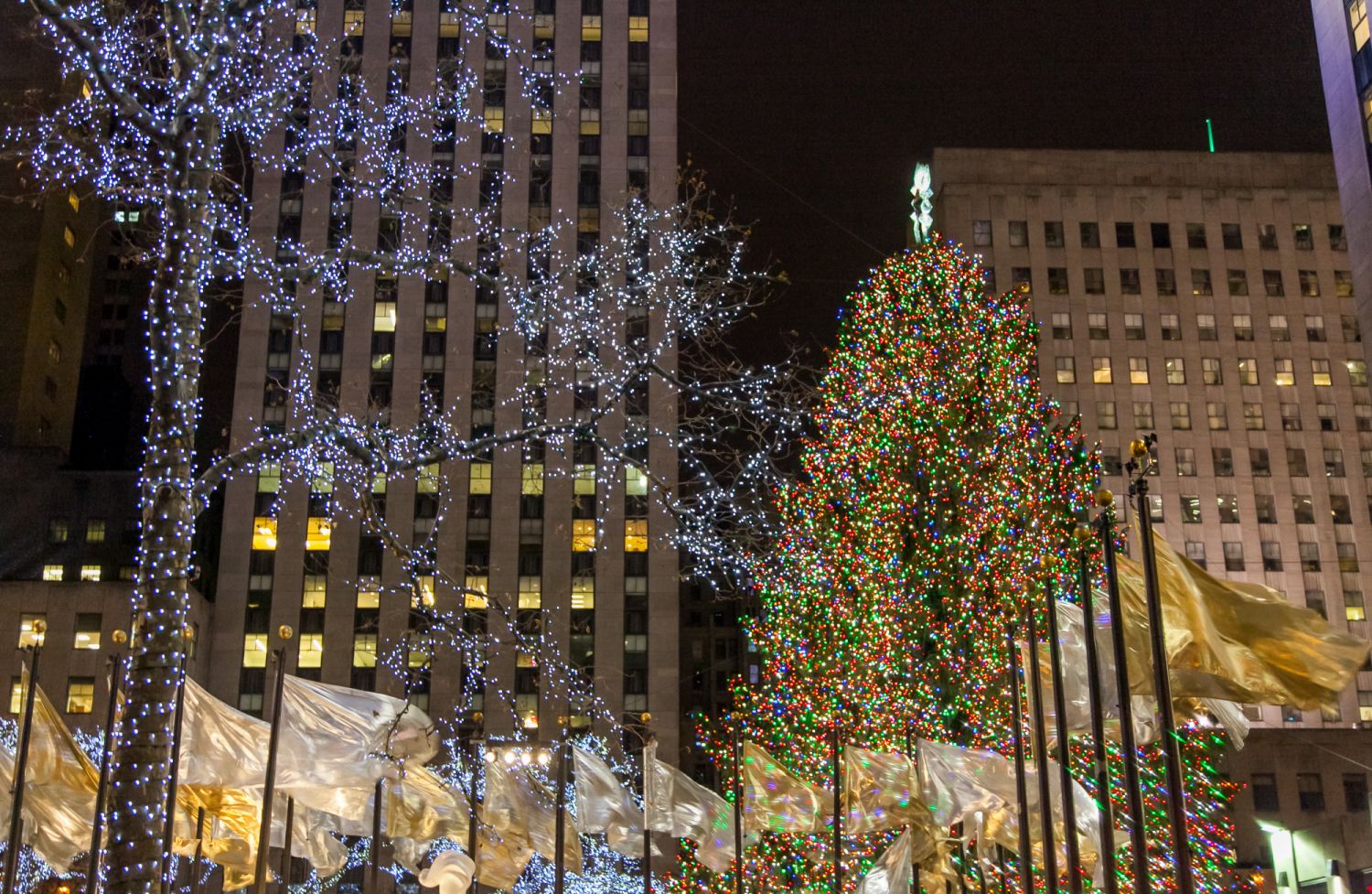 Scenes from Midtown Manhattan durong the Holiday season.