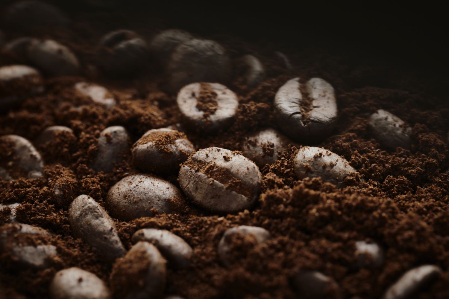 Close-up of roasted coffee beans