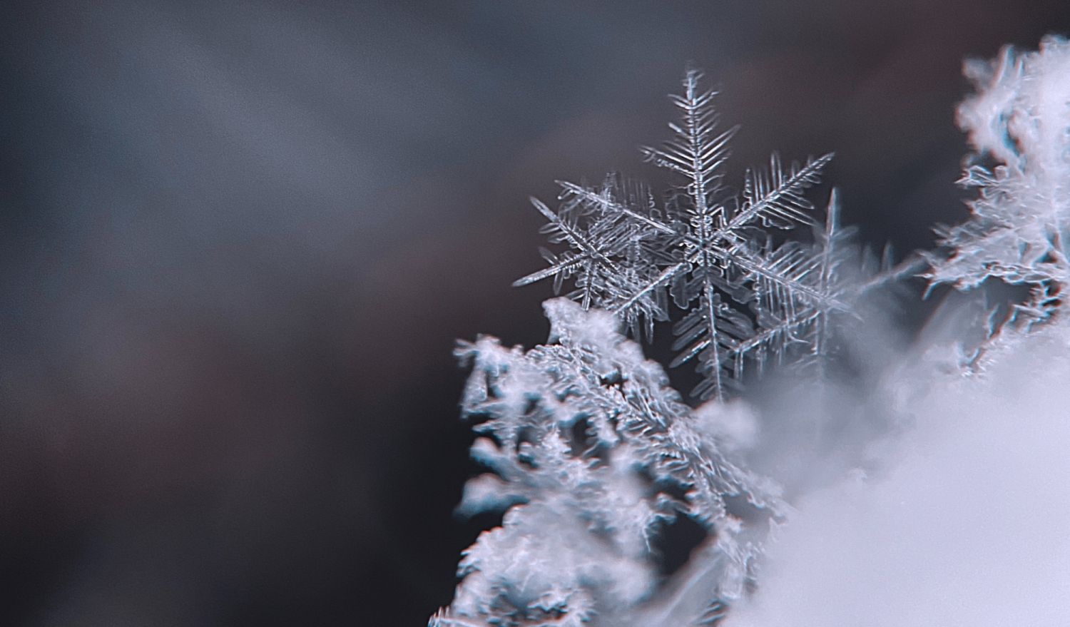 Photo: Unsplash