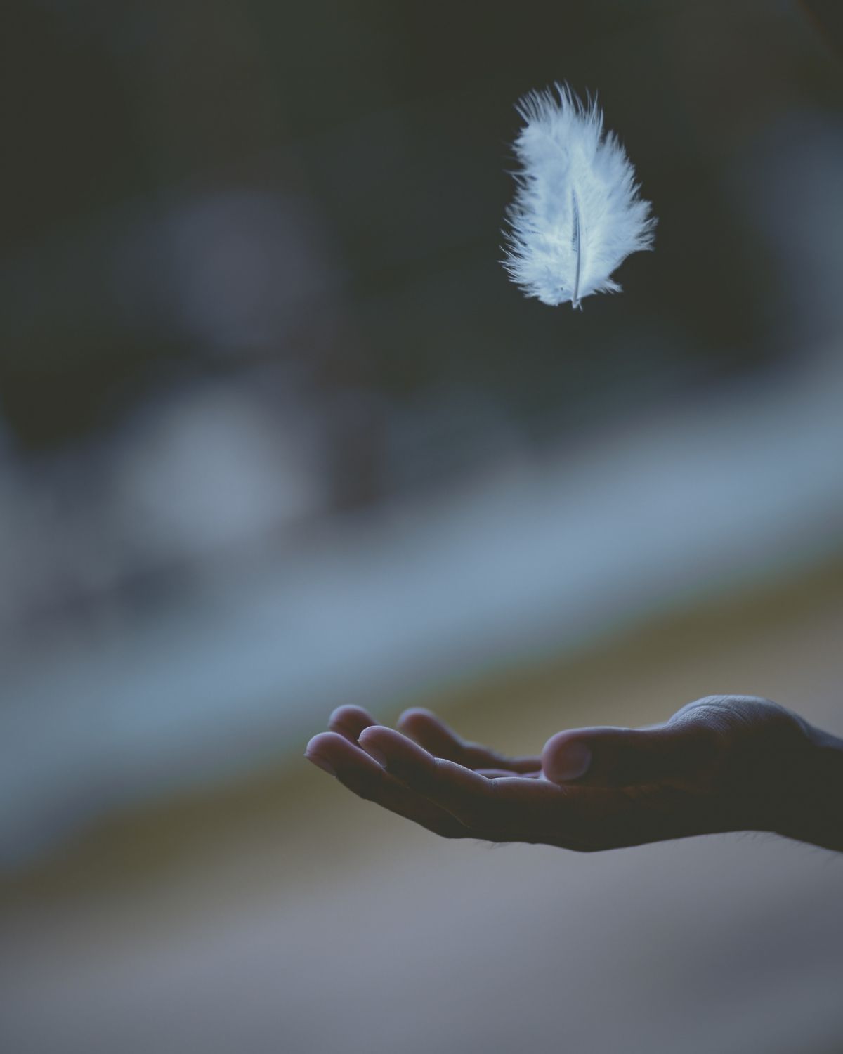 Photo via unsplash