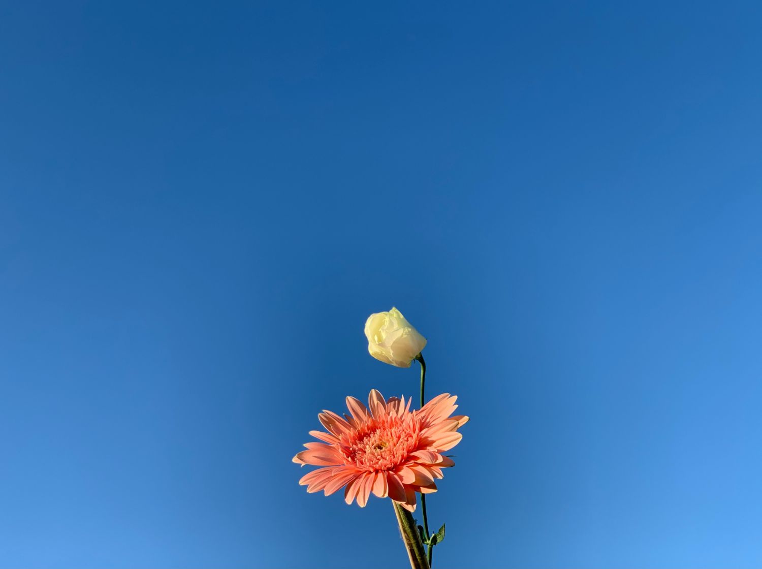 Photo via unsplash