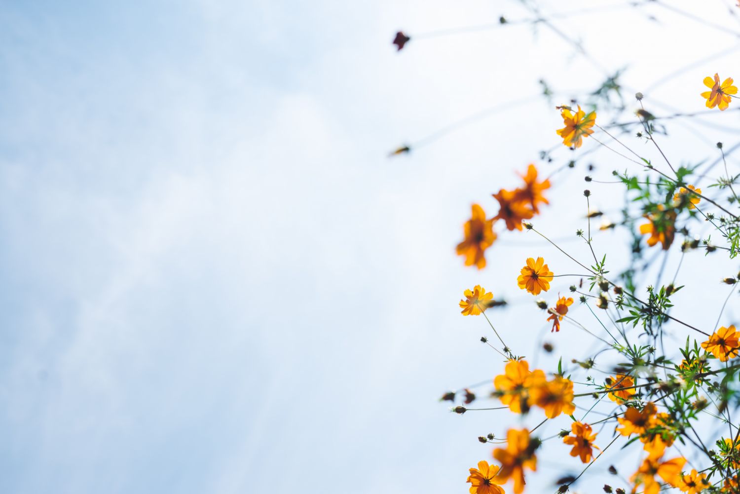 Photo via unsplash