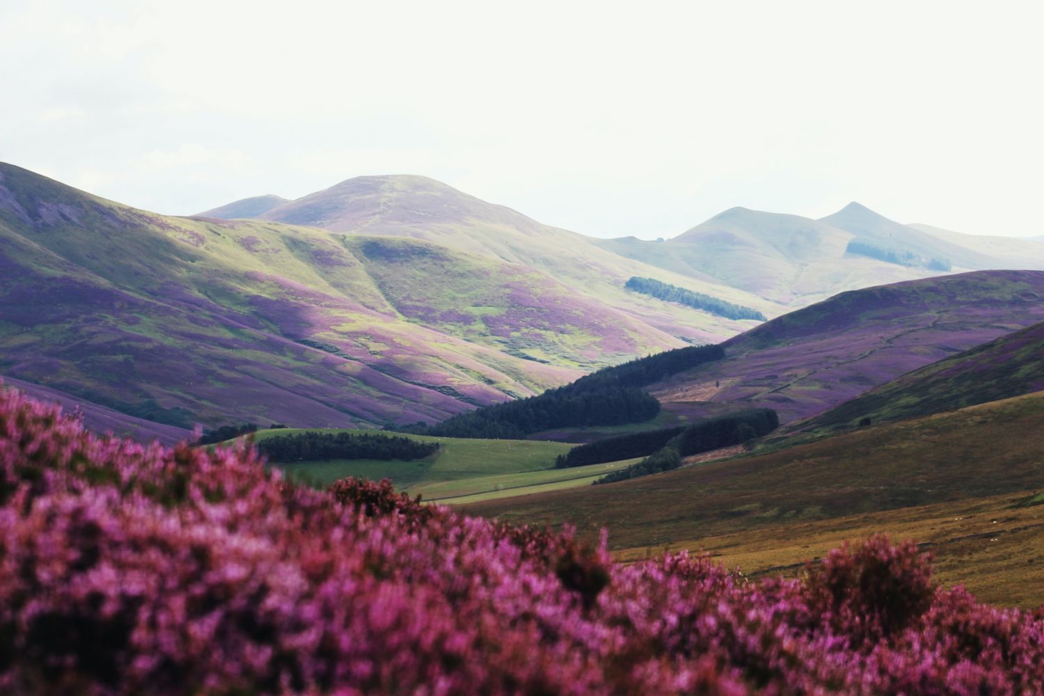 Photo via unsplash