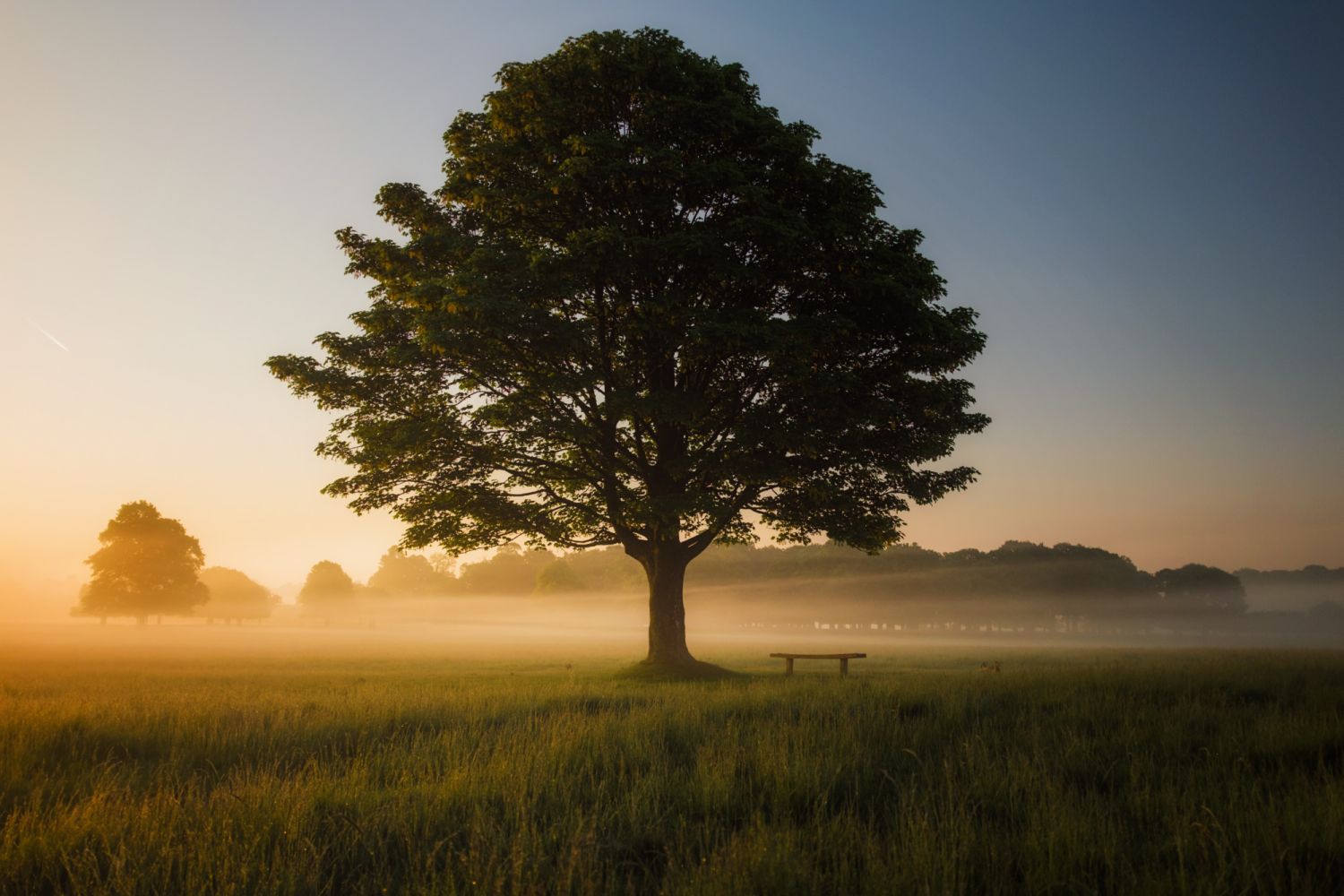Photo via unsplash