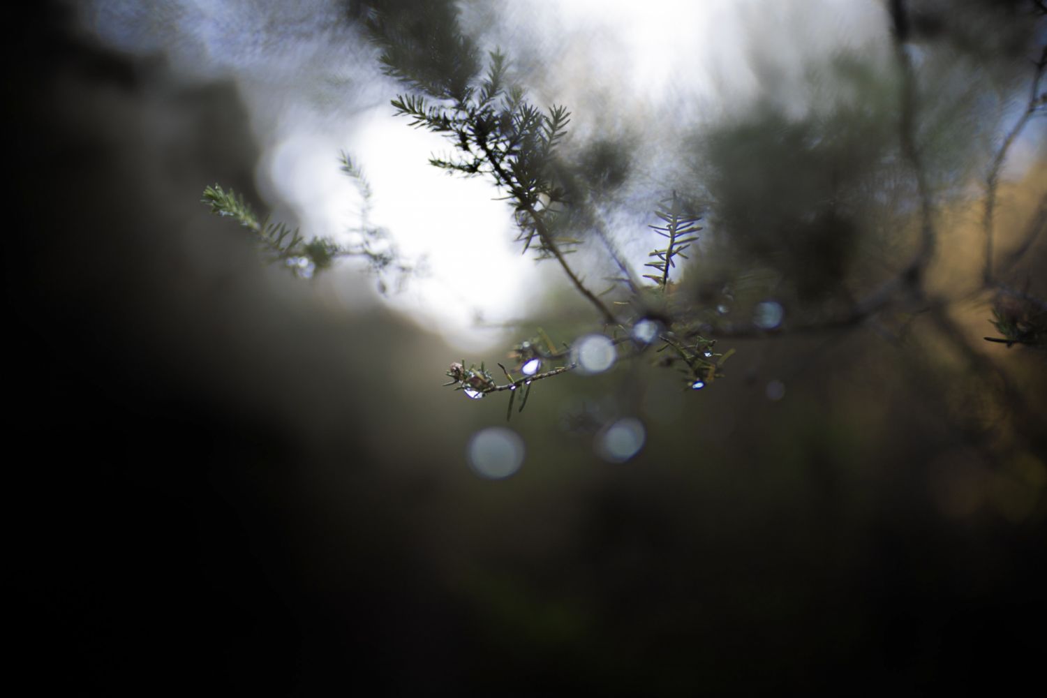 Photo via unsplash