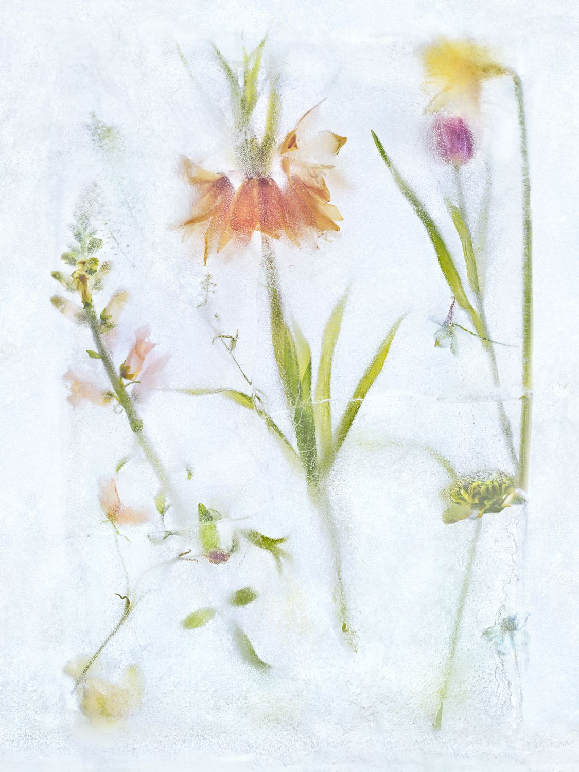 Fernando Manso on Photography, Creative Process, and Inspirations