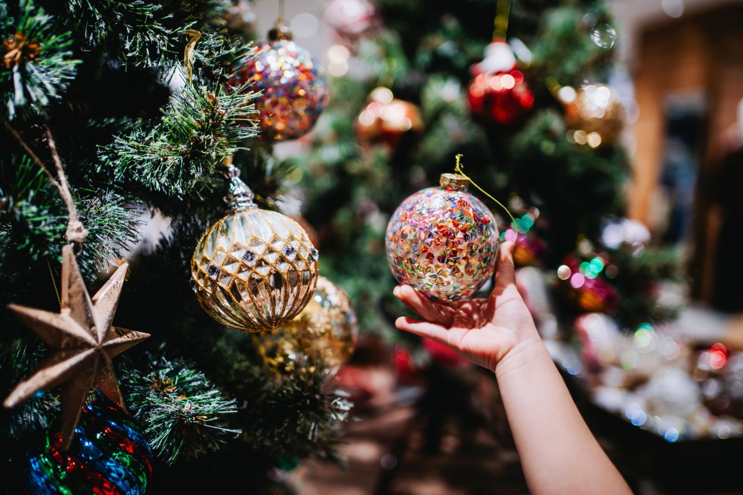 Cropped shot of little girl's hand holding a colourful bauble, decorating and hanging on Christmas tree in the festive Christmas season. Countdown to Christmas. Festival and celebration concept