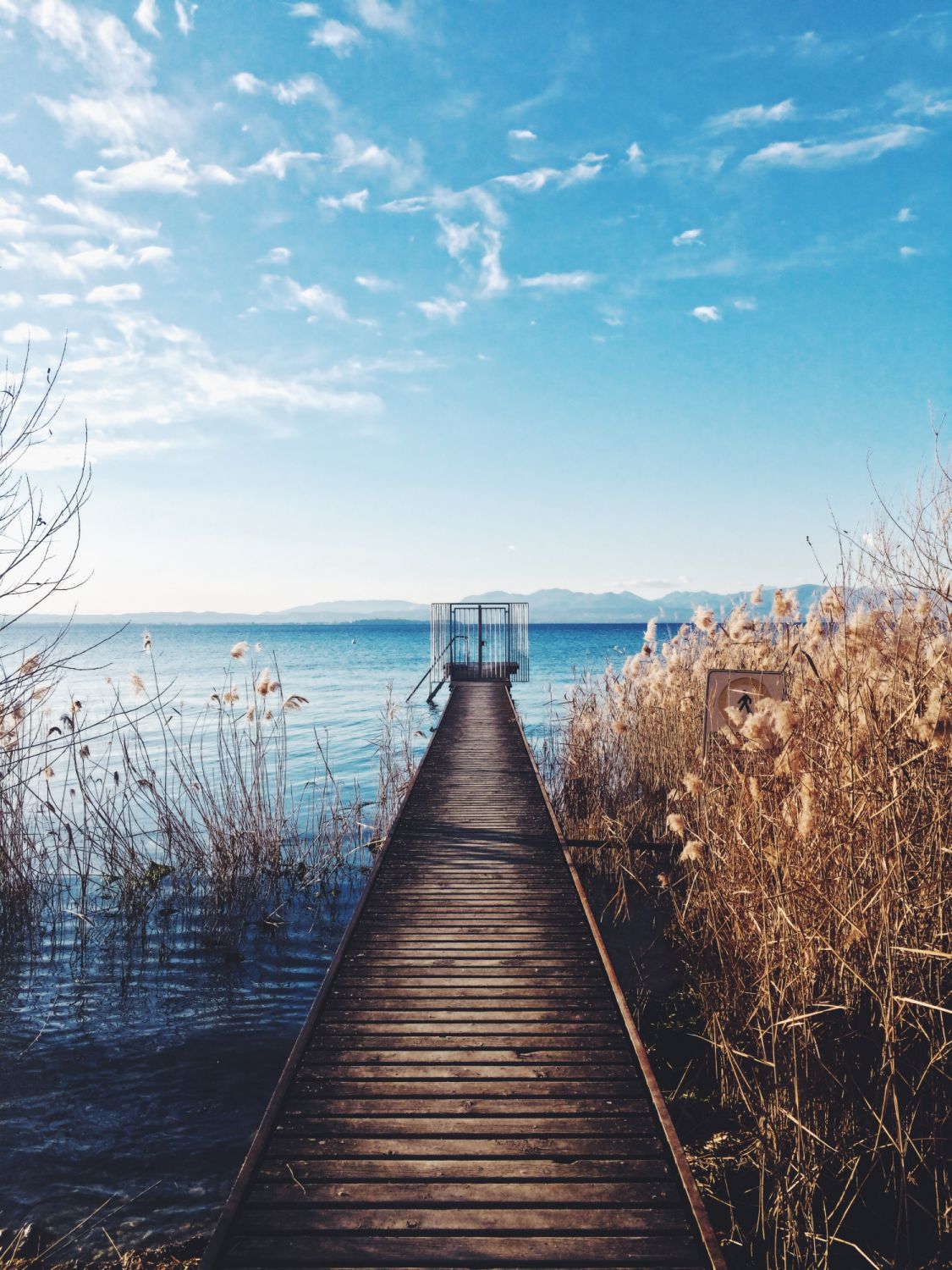 Photo via Unsplash